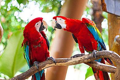 动视CEO考迪克：腾讯和字节是世界上最好的公司